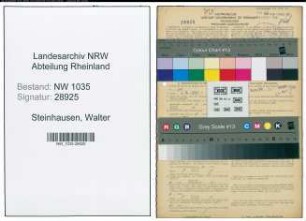 Entnazifizierung Walter Steinhausen , geb. 15.04.1908 (Steiger)