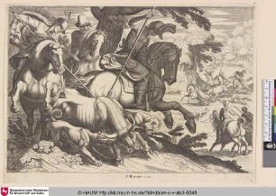 [Stierjagd]