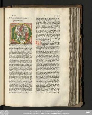 [Der Prophet Micheas]