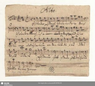 Alto. Tutti