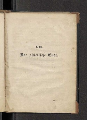 VII. Das glückliche Ende.