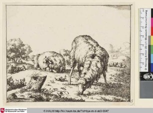 [Un mouton qui broute, vu presque de face, et dirigé vers la droite. Un autre est couché à gauche vers le fond; Im Vordergrund ein stehendes grasendes Schaf, im Hintergrund ein liegendes Schaf]