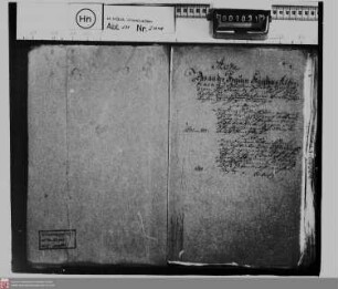 Verkauf des Lehens der von Bubenheim gen. Schönleder zu Kirberg an Fürstin Albertine Agnes von Nassau-Diez