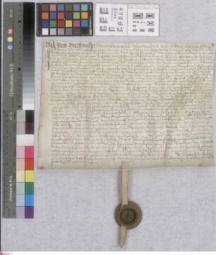 Neckarsteinach: Neckarsteinacher Gültbrief