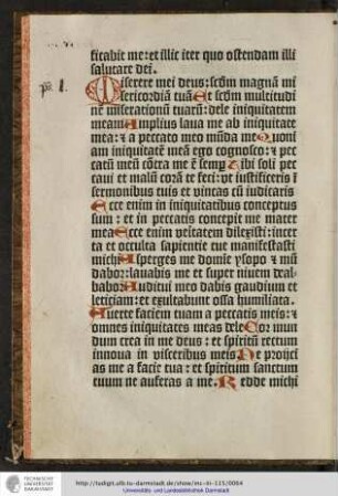 Miserere mei dominus secundum magnam misericordiam tuam...