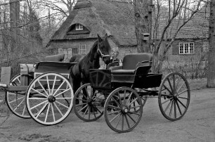 Matthiesen, Anne und Matthiesen, Hans-Gert: Kutschensammler: Dog-Cart und Amerikaner (Baujahr 1921) mit Pferd