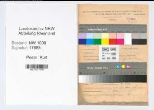 Entnazifizierung Kurt Pesall, geb. 08.01.1913 (Techn.Angest.)