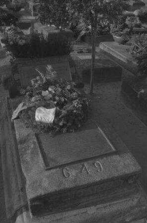 Nürnberg: St. Johannisfriedhof, Grab Nr. 649 [Grab Albrecht Dürers]