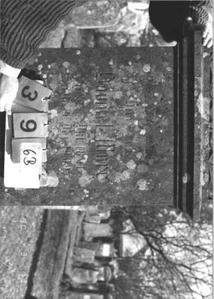 Grabstein 396 (Index: 99786160) Zustand: Inschrifttafel fehlt, Rückseite: Flechten Maße HxBxT: 173x60x27 cm Symbolik: Mohnkapsel?: Grabstein 396B