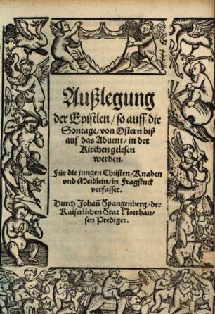 Außlegung der Episteln so auf die Sontag, ... in der Kirchen gelesen werden : Für die jungen Christen, Knaben vnd Meidlin, in Fragstuck verfasset, [Sommerteil]. Von Ostern biß auf das Aduent