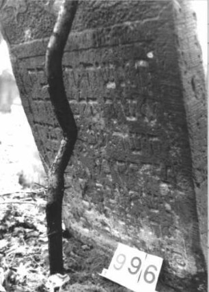 Grabstein 996 (Index: 99899559) Material: Sandstein Zustand: teilweise verwittert Maße HxBxT: 99x58x9 cm Beschreibung: Stele mit Konvexbogenabschluss, im Bogenfeld Blüten, etwas eingesunken Symbolik: Blüten: Grabstein 996 (Detailaufnahme)