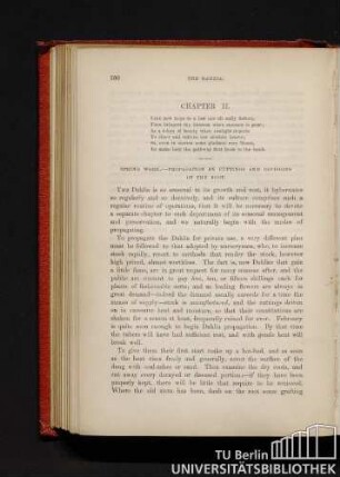 Chapter II. Spring work. - Propagation by cuttings and divisions of the root.