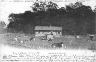 Leipzig-Gohlis: Alpenhütte im Rosenthal