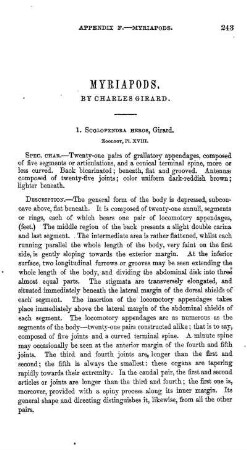 Myriapods. By C. Girard