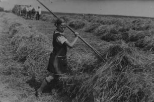 Kinder eines Kleinbauern beim Heuwenden : Kinder eines Kleinbauern beim Heuwenden