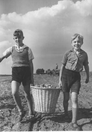 Jungen helfen bei der Kartoffelernte. Sie tragen einen Korb