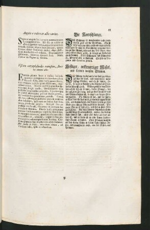 Anguis e rubro et albo varius. Die Kornschlange. Viscum caryophylloides ramosum ... Aestiger, nelkenartiger Mistel ...