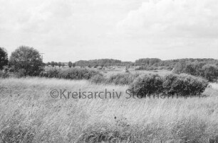 Brenner Moor: vorn Gräser und Binsen: dahinter Büsche: hinten Wiesen mit Heuhocken und Bäume
