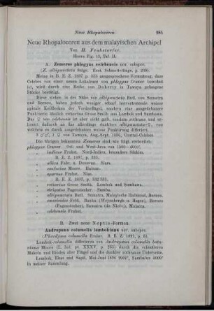 Neue Rhopaloceren aus dem malayischen Archipel