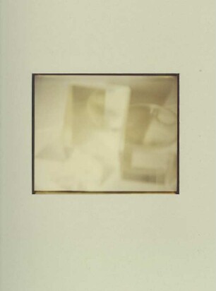 Polaroid #28