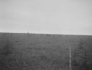 Tundra am Horonai-gawa (Poronai) : Landschaftsausschnitt