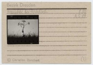 Christian Borchert (1942-2000). Karteikarte, beklebt mit einem Kontaktabzug, handschriftliche Notizen "Wuischke bei Hochkirche 8.80, A 5.89"
