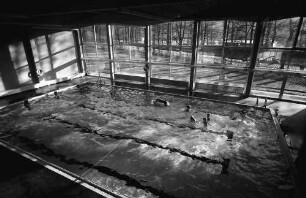 Staufen: Haus Münstertal; Hallenschwimmbad; von oben