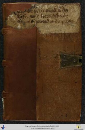 Kommentare zu Ovidius und Cicero