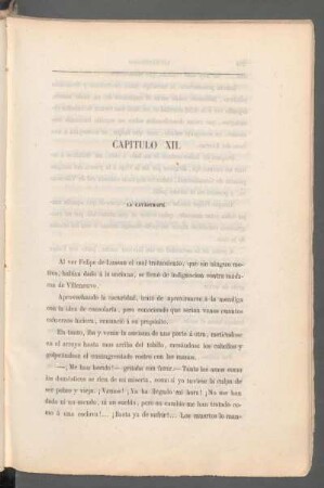 Capítulo XII. - La catástrofe.