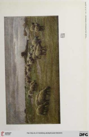 36: The paintings and etchings of D. Y. Cameron