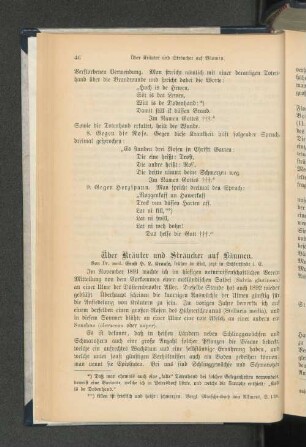 Über Kräuter und Sträucher auf Bäumen.