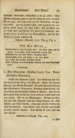 XVII. Der Otter