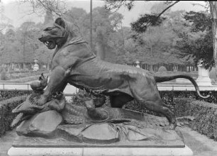 Tiger und Krokodil