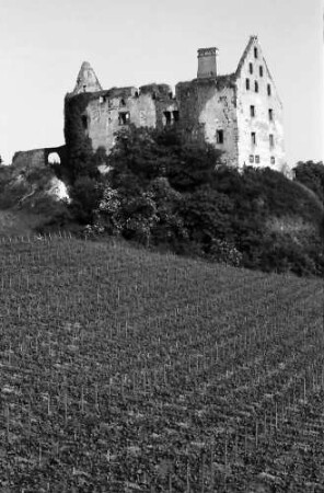 Burkheim: Schwendi-Schlossruine