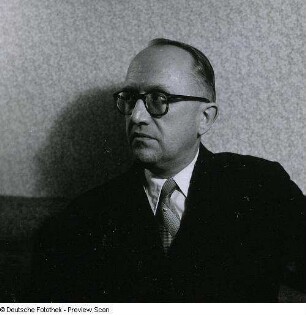Portraitserie Walter Hallstein