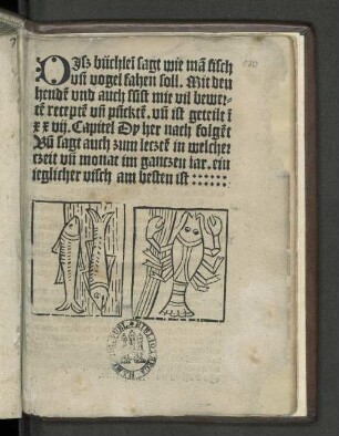 Disz buchlei[n] sagt wie ma[n] fisch vn[d] vogel fahen soll ...