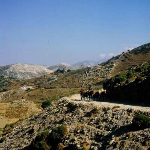 Naxos. Hochtal am Zas-Berg