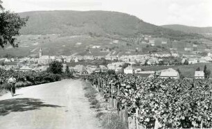 Pfalz. Ort an der Weinstraße. Rechts und links der Straße Weinplantage