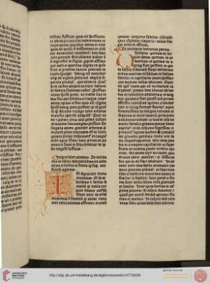 Liber octavus