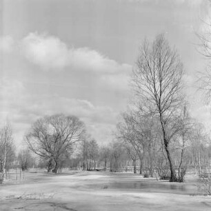 Spreewald um 1940. Überflutete Wiesen und Felder. : Błóta wokoło 1940. Přepławjene łuki a pola.