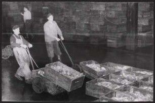 Mitarbeiter des Fischereimarktes Hamburg-Altona