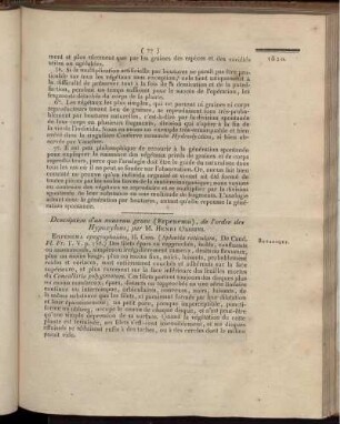 Description d'un nouveau genre (Erpenema), de l'ordre des Hypoxylons