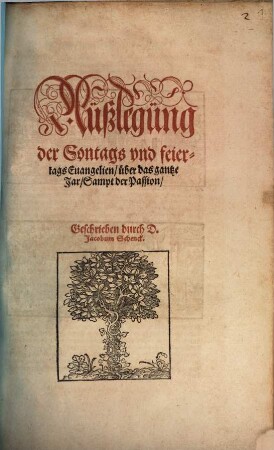 Außlegung der Sontags- und Feiertags-Evangelien
