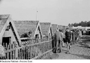 Besucher bei der Tierschau (Schweine)
