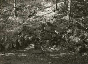 Seifersdorfer Tal. Denksteine "Für Johanna und Moritz" (1820) und "Ach wie schön" (Sandstein, Feldstein)