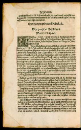 Der prophet Zephanja.