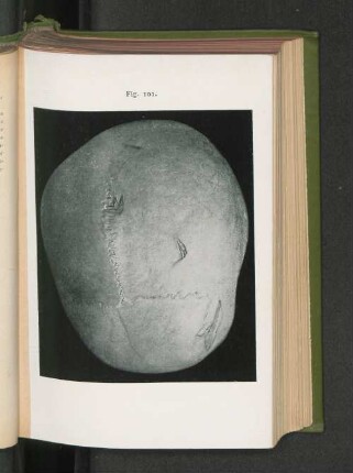 Fig. 101.