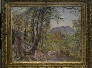Pfälzische Landschaft
