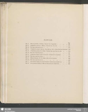 Plate XIX