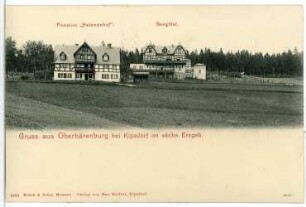 Oberbärenburg. Berghotel - Pension Helenenhof